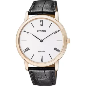 Citizen AR1113-12B Eco-Drive Watch 39mm