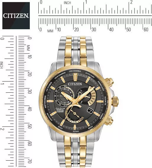 Citizen Calibre 8700 Perpetual Eco-Drive Watch 42mm