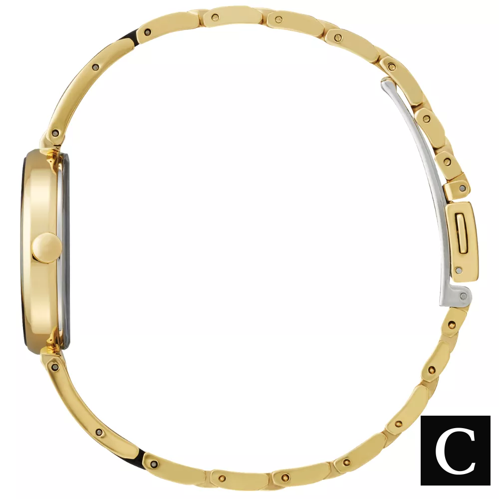 Citizen Eco-Drive Axiom Women's Watch 28mm