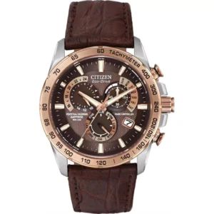 CITIZEN PCAT LIMITED EDITION PERPETUAL WACTH 42MM