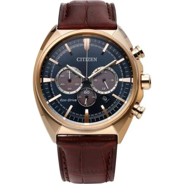 Citizen Eco-Drive Men's Watch 45mm