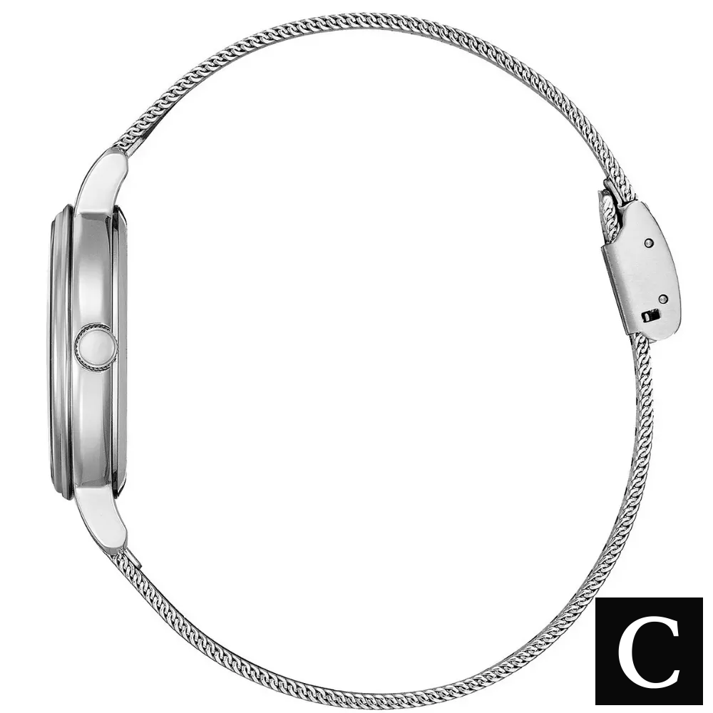 Citizen Eco Drive Mesh Women's Watch 31mm