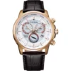 CITIZEN ECO-DRIVE PERPETUAL CALENDA WATCH 40MM