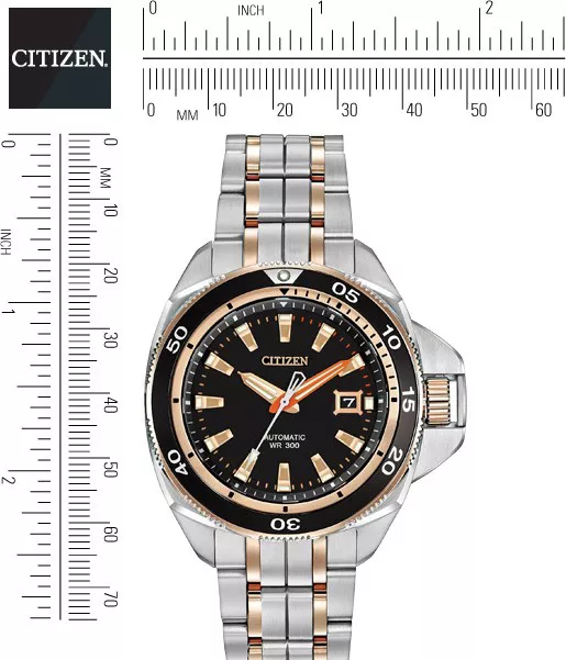 Citizen Grand Touring Automatic Self Watch 45mm