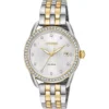 Citizen LTR-Long Term Relationship Women's Watch 37mm