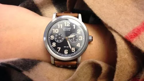 Citizen AVION Eco-Drive Avion Brown Watch 43mm