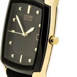 Citizen Paradigm Eco-Drive Men's Watch 34x31mm