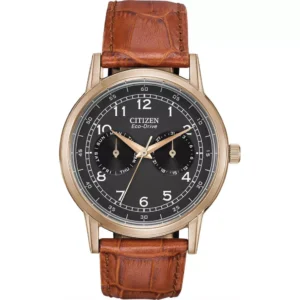 CITIZEN Eco Drive Brown Leather Watch 42mm