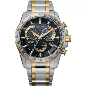 Citizen PCAT Eco-Drive Watch 43mm