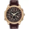 Citizen Eco-Drive Perpetual Calendar Watch 48mm