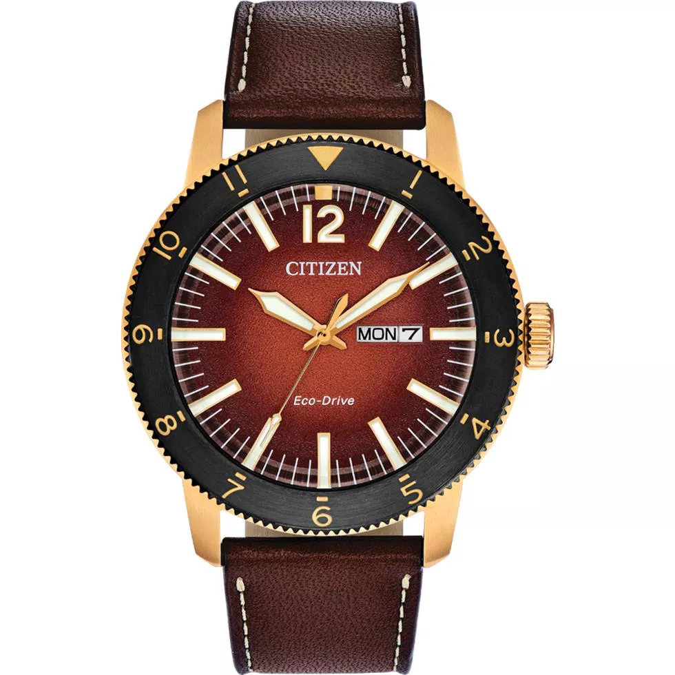 Citizen Vintage Brycen Watch 44mm