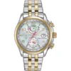 Citizen World Time A.T Mother-Of-Pearl Watch 38mm