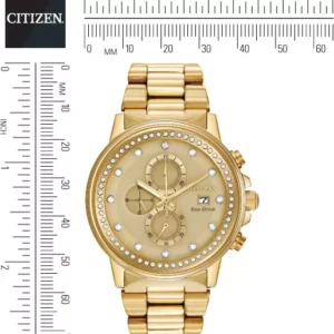 Citizen Nighthawk Chamagne Watch 42mm