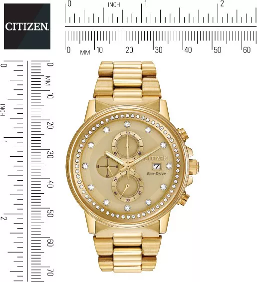 Citizen Nighthawk Chamagne Watch 42mm