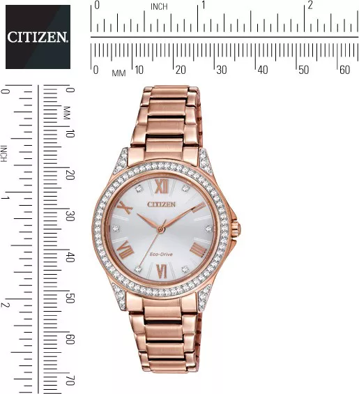 Citizen Drive POV Analog Japanese Watch 34mm