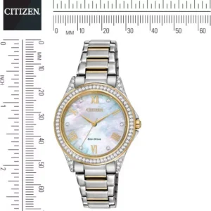 Citizen POV Japanese Watch 34mm