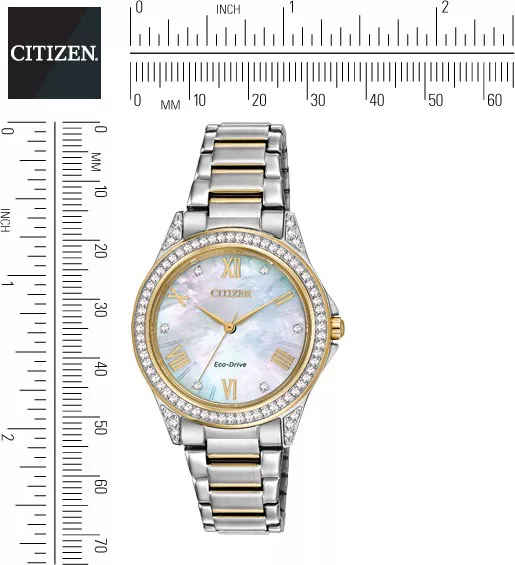 Citizen POV Japanese Watch 34mm