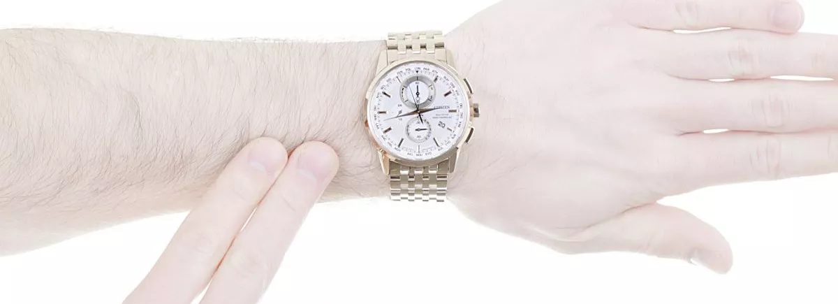 CITIZEN World Chronograph A-T Perpetual Watch 43MM