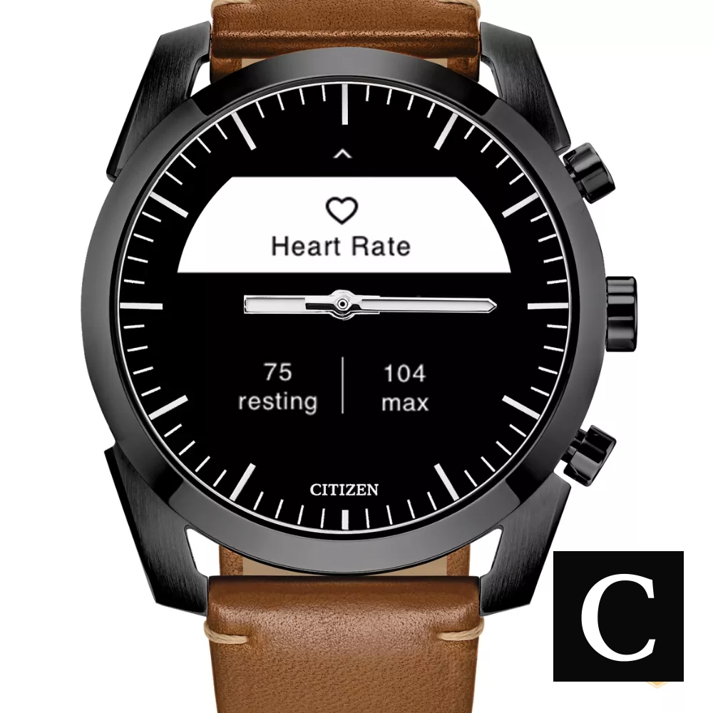 Citizen CZ Smart Hybrid JX2017-05E Watch 42.5mm